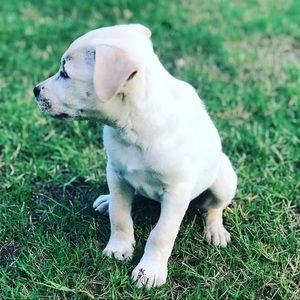 Meet your Posher, Clint